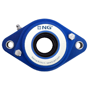 NG wasserdicht Flanschlager F2 Ø25, 2-Loch, offener Deckel, blau