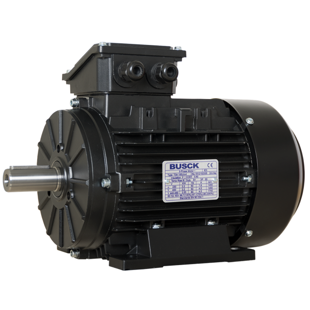 Busck AC motor T3A100LB-4B3, 3kW 1450RPM, 230/400V, 50Hz, aluminium