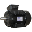 Busck AC motor T3A100LA-2B3, 3kW, 2910RPM, B3, 230/400, 50 Hz, Aluminium